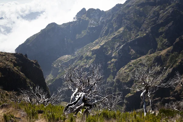 Hory ostrova Madeira, Portugalsko — Stock fotografie