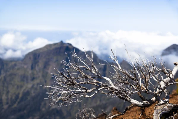 Hory ostrova Madeira, Portugalsko — Stock fotografie