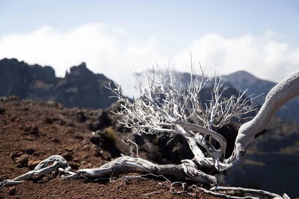 Montañas de la isla de Madeira, Portugal — Foto de Stock