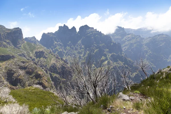 Hory ostrova Madeira, Portugalsko — Stock fotografie