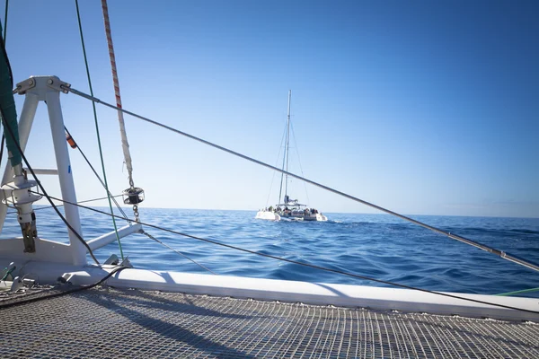 Catamarã veleiro. calmo oceano azul e céu azul sem nuvens estão no fundo — Fotografia de Stock