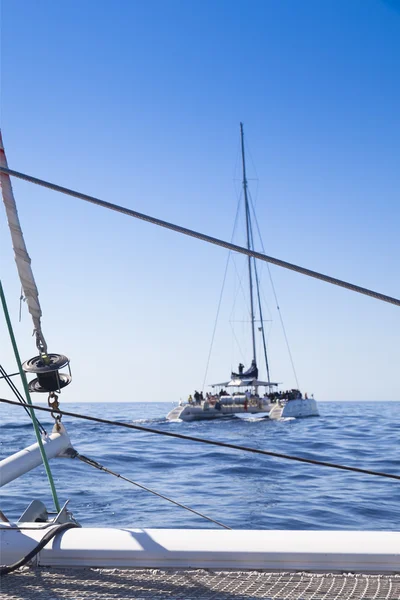 Katamarán plachetnice. v pozadí jsou klidný modrý oceán a čisté modré nebe — Stock fotografie