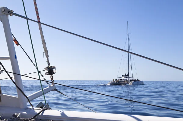 Catamarã veleiro. calmo oceano azul e céu azul sem nuvens estão no fundo — Fotografia de Stock