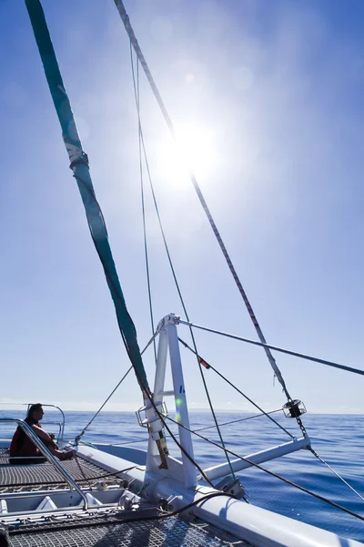 Katamarán plachetnice. v pozadí jsou klidný modrý oceán a čisté modré nebe — Stock fotografie