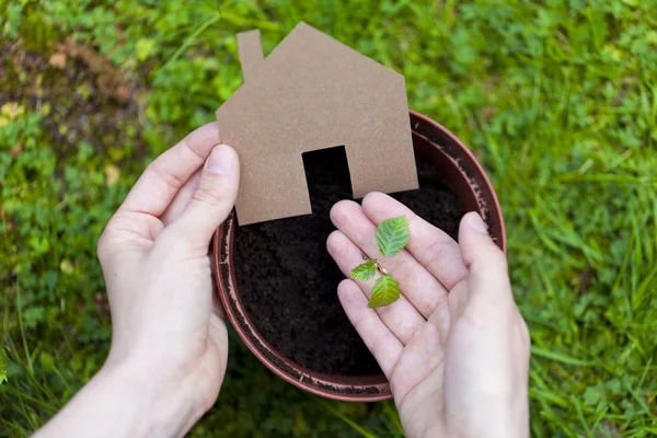 Concepto ecológico vivo — Foto de Stock