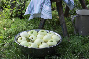 Yaz bahçesinin arka planında su ve elmalarla dolu bir leğen..