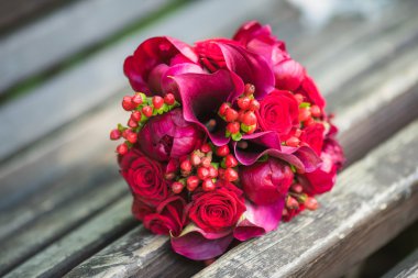 hasır sepet içinde newborn yavru kedi