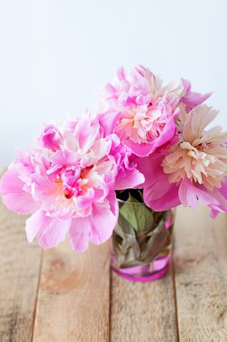 pembe Mayıs peonies