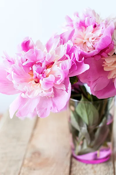 Peonías de mayo rosa —  Fotos de Stock