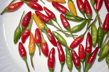 Masadaki renkli Capsicum yıllığı