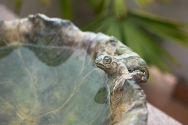 El yapımı su kabının görüntüsü