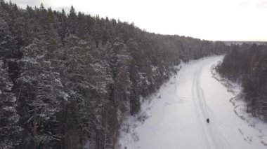 Two colored snowmobiles drive at high speed through deep snow on the background of a snowy forest in the bright rays of the sun. Concept adventure in winter travel, tour on snowmobile. Drone shot 4k.