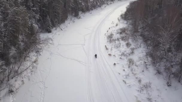 两辆有色雪地摩托高速穿行在雪地森林的背景上 在灿烂的阳光下 概念探险在冬季旅行 骑雪地摩托游览 无人机发射4K — 图库视频影像
