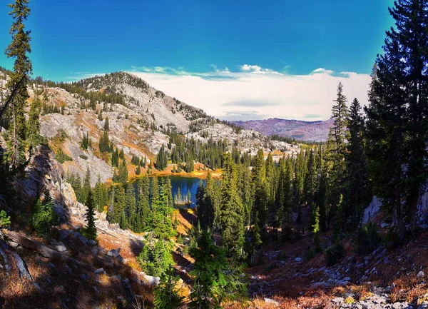 파노라마 Lake Martha Panorama 브라이튼 리조트 Brighton Resort 그레이트 웨스턴 — 스톡 사진