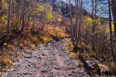 Red Pine Lake Trail dağ manzarası Beyaz Baldy ve Pfeifferhorn yürüyüş parkuruna doğru Little Cottonwood Canyon, Wasatch Rocky dağ sıraları, Utah, ABD. 