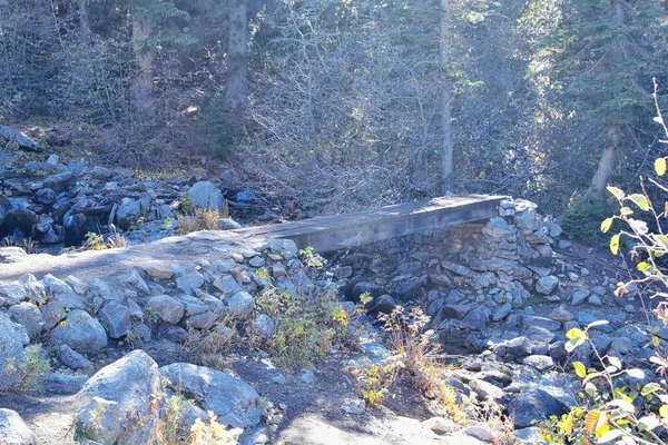 Red Pine Lake Trail Paysage Montagne Pittoresque Vers White Baldy — Photo