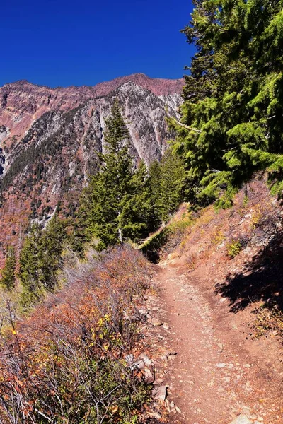 Red Pine Lake Trail Berglandschaft Landschaftlich Reizvoll Richtung White Baldy — Stockfoto