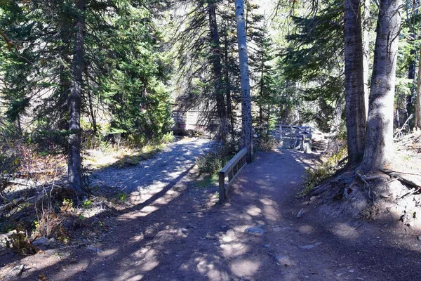 Red Pine Lake Trail Paisaje Montaña Escénico Hacia White Baldy — Foto de Stock
