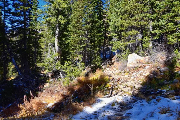 Red Pine Lake Trail Mountain Landscape Scenic White Baldy Pfeifferhorn — Stock Photo, Image