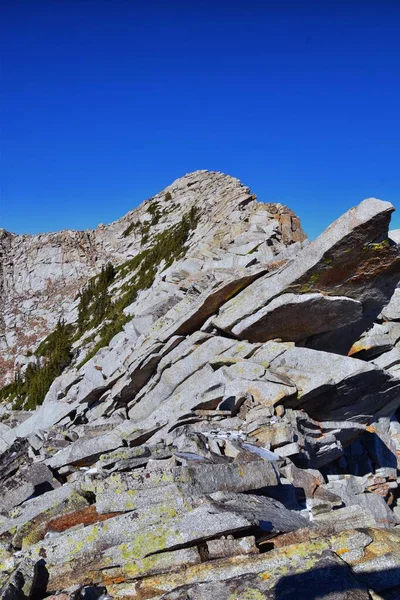 Red Pine Lake Views Trail Mountain Landscape Salt Lake Valley — Photo