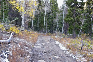 White Pine Lake Trail dağ manzarası Beyaz Baldy ve Pfeifferhorn yürüyüş parkuruna doğru Little Cottonwood Canyon, Wasatch Rocky dağ sıraları, Utah, ABD. 