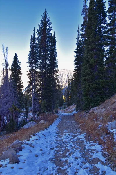 White Pine Lake Trail Paisagem Montanhosa Panorâmica Para White Baldy — Fotografia de Stock