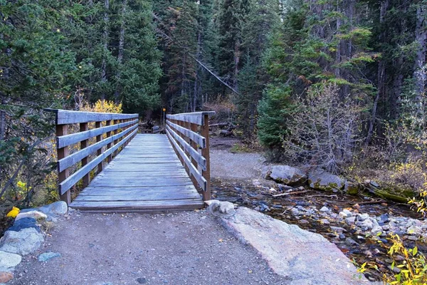 White Pine Lake Trail Mountain Landscape Scenic White Baldy Pfeifferhorn — Stock Photo, Image