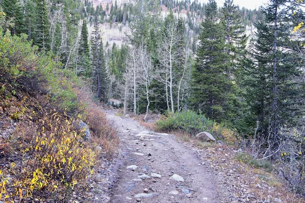 ホワイトパインレイクトレイル山の景色を望むWhite Baldy PfeferhornハイキングトレイルIn Little Cottonwood Canyon Waatch Rocky Mountain Range — ストック写真