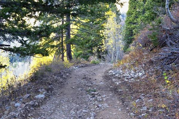 White Pine Lake Trail Berglandschap Schilderachtige Richting White Baldy Pfeifferhorn — Stockfoto