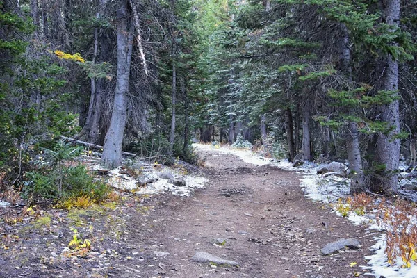White Pine Lake Trail Berglandschaft Landschaftlich Reizvoll Richtung White Baldy — Stockfoto