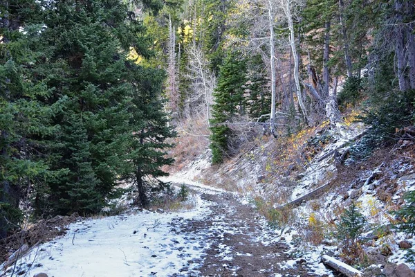 White Pine Lake Trail Paisaje Montaña Escénico Hacia White Baldy — Foto de Stock