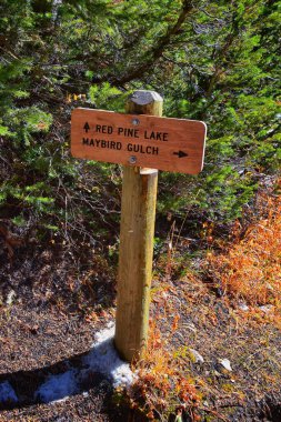 Beyaz Baldy ve Pfeifferhorn 'daki Lone Peak Wilderness' da Red Pine ve White Pine Lake yürüyüş yolu üzerinde işaret levhası, Little Cottonwood Canyon, Wasatch Rocky dağ sırası, Utah, ABD.
