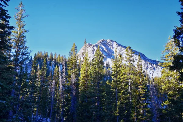 White Pine Lake Utsikt Från Trail Bergslandskap Mot Salt Lake — Stockfoto