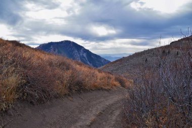 Provo Peak dağ yürüyüşü manzara manzarası, Slate Canyon, Slate Canyon Rock Canyon ve Squaw Peak Road, Wasatch Rocky Mountain Range, Utah, ABD.
