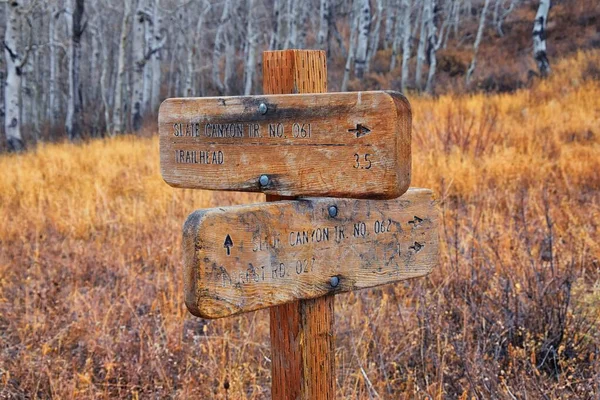 Trail Sign on the Y trail, Provo Peak hiking trail by Y Mountain, up Slide Canyon and Slate Canyon, Wasatch Front Rocky Mountains, Utah. United States.