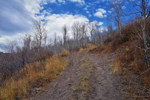 Provo Peak Hiking Trail Mountain Scenic View Slide Canyon Slate — стокове фото