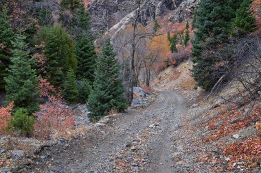 Slate Canyon yürüyüş parkuru, Slate Canyon dağ manzarası, Slide Canyon, Rock Canyon ve Provo, Wasatch Rocky sıradağları, Utah, ABD. 