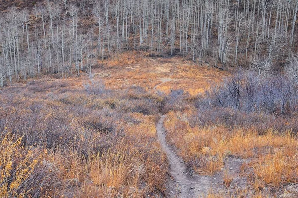 Slate Canyon Hiking Trail Fall Leaves Mountain Landscape View Slide —  Fotos de Stock