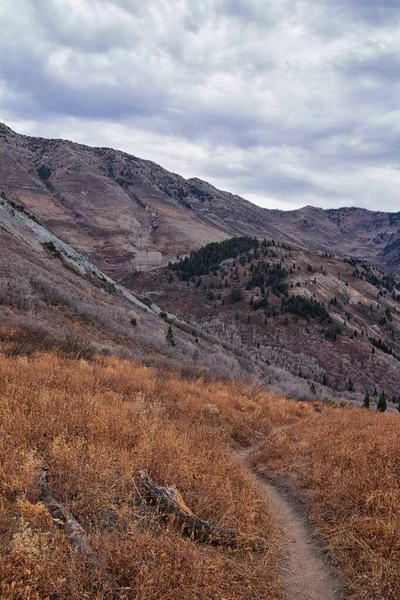 Slate Canyon Wanderweg Herbst Hinterlässt Blick Auf Die Berglandschaft Slide — Stockfoto