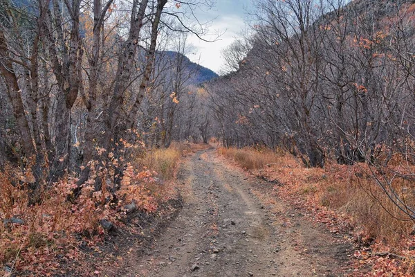 Slate Canyonハイキングトレイルの秋は Slide Canyon Rock Canyon Provo Watch Rocky Mountain — ストック写真