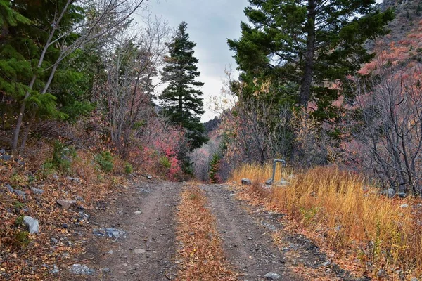 Slate Canyon Hiking Trail Fall Leaves Mountain Landscape View Slide — Stock Photo, Image