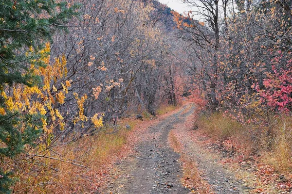 Slate Canyon Hiking Trail Fall Leaves Mountain Landscape View Slide — Stock fotografie