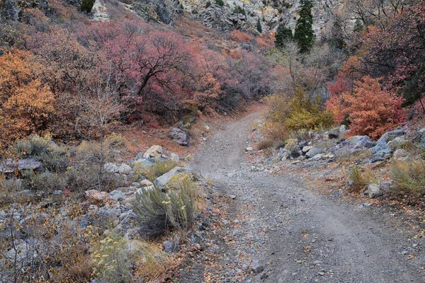 Slate Canyon Wanderweg Herbst Hinterlässt Blick Auf Die Berglandschaft Slide — Stockfoto
