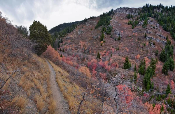 スライドキャニオンハイキングトレイルの秋は Yトレイル プロボピーク スレートキャニオン ロックキャニオン ウォッチロッキー山脈 ユタ州 米国の周りの山の景色を残します — ストック写真