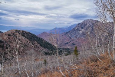 Provo Peak dağ manzarası Rock Canyon 'dan Slate Canyon, Wasatch Front Rocky Mountain Range, Utah' a bakıyor. Birleşik Devletler. 