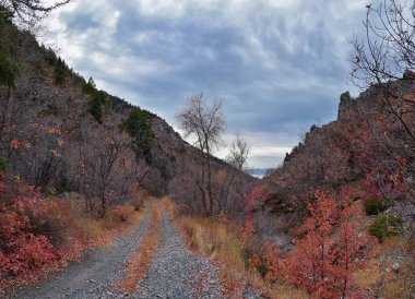 Provo Peak dağ manzarası Rock Canyon 'dan Slate Canyon, Wasatch Front Rocky Mountain Range, Utah' a bakıyor. Birleşik Devletler. 