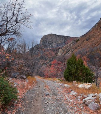 Provo Peak dağ manzarası Rock Canyon 'dan Slate Canyon, Wasatch Front Rocky Mountain Range, Utah' a bakıyor. Birleşik Devletler. 