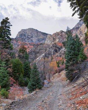 Provo Peak dağ manzarası Rock Canyon 'dan Slate Canyon, Wasatch Front Rocky Mountain Range, Utah' a bakıyor. Birleşik Devletler. 
