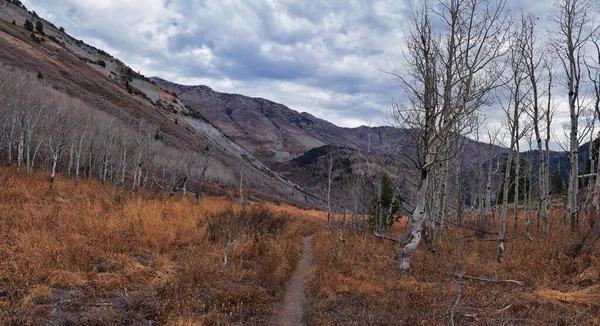 Provo Peak Blick Auf Den Gipfel Vom Rock Canyon Slide — Stockfoto