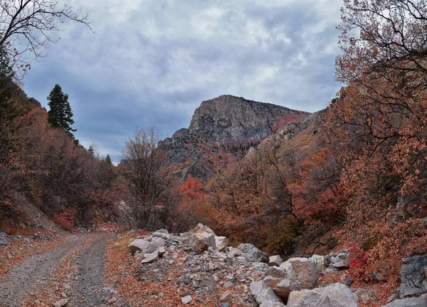Provo Peak Vistas Montaña Con Vistas Cima Desde Rock Canyon —  Fotos de Stock
